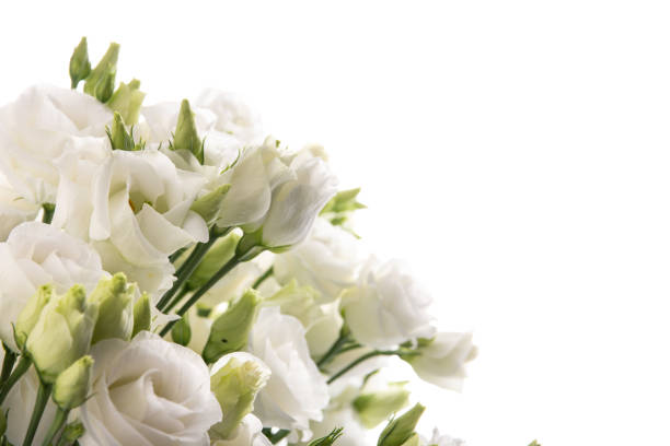 istock Beautiful flower bouquet with white Lisianthus or Eustoma  flower on white background. 1336450262