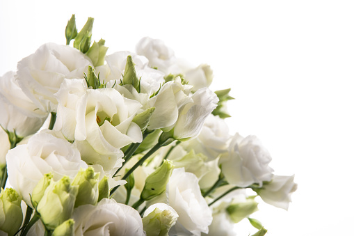 Wedding bouquet of white and beige roses lies on a granite slab