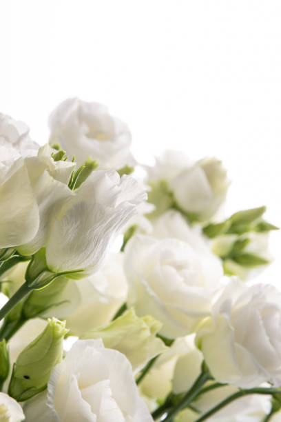 istock Beautiful flower bouquet with white Lisianthus or Eustoma  flower on white background. 1336450284