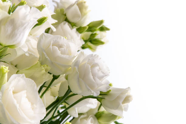 istock Beautiful flower bouquet with white Lisianthus or Eustoma  flower on white background. 1336450285