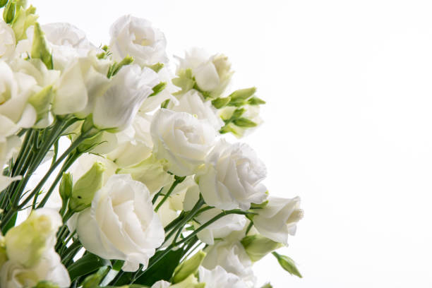 istock Beautiful flower bouquet with white Lisianthus or Eustoma  flower on white background. 1336450286