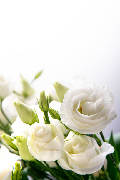 Beautiful flower bouquet with white Lisianthus or Eustoma  flower on white background.