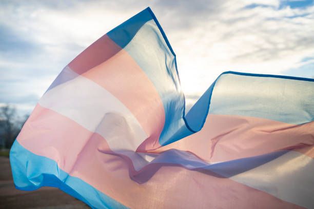 istock Transgender Flag Flying in the Sky 1336450857