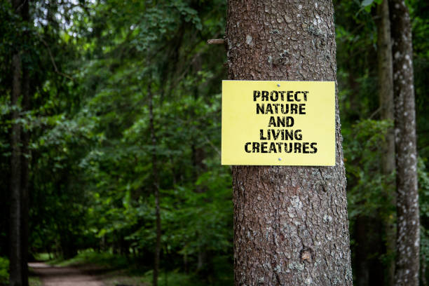 istock Protect nature and living creatures. Yellow warning sign at the tree 1336453031