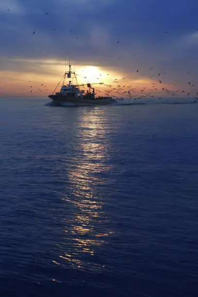 professional fishing boat and seagull turn back port on sunset sunrise