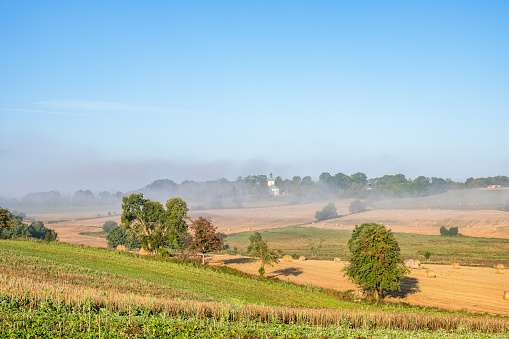 Rural landscape view with morning fog on the fields