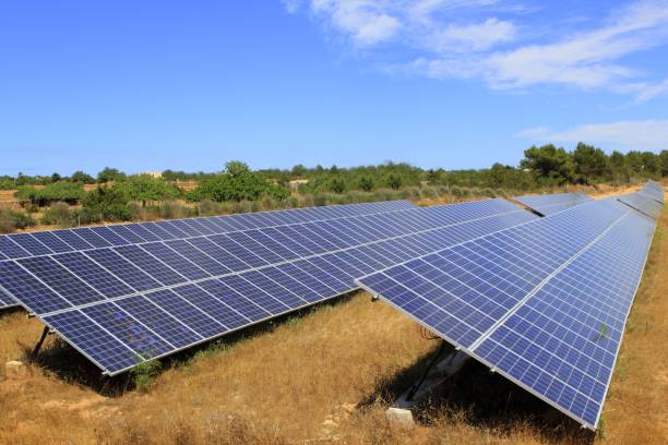 Solar plates green energy perspective ecology electric supply