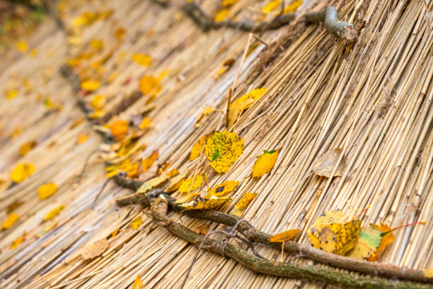 Yellow autumn leaves on a thatched roof