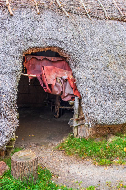 Reconstructed hut from prehistoric era with a animal skin in the door opening Reconstructed hut from prehistoric era with a animal skin in the door opening thatched roof hut straw grass hut stock pictures, royalty-free photos & images