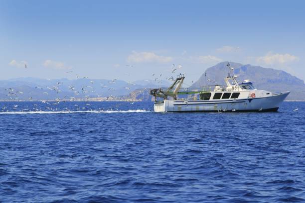 istock professional fisherboat many seagulls blue ocean 1336454838