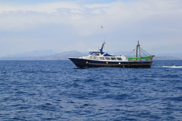 istock fishing trawler professional boat working 1336455079