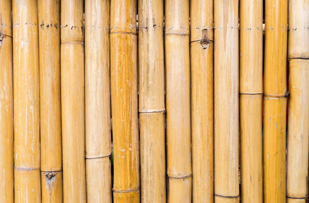 istock Closeup bamboo wood fence background 1336457684