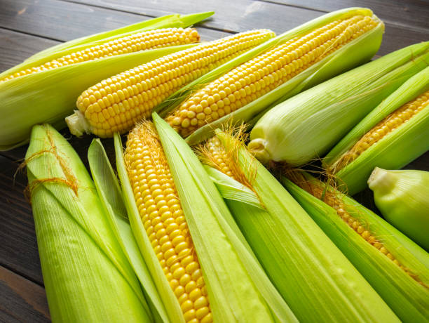 istock Fresh corn cobs. Heap of cobs with leaves. 1336458896