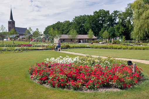 Lottum, The Netherlands - June 19, 2021: People wondering beautiful roses in public garden