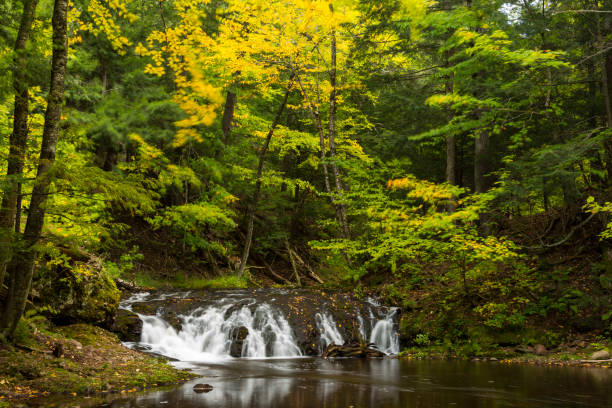 istock Greenstone Falls In Autumn 1336459282