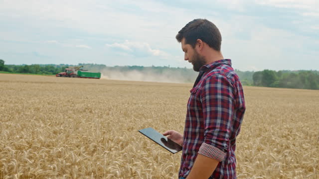 SLO MO Farmer wipes his forehead while he uses a digital tablet in the middle of a wheat field