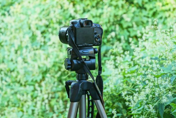 istock one black camera stands on a tripod on the street 1336462576