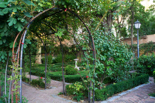 istock small park with fountain and flowers 1336463339