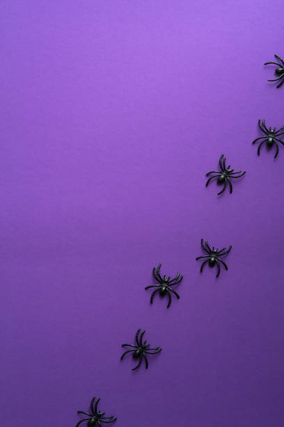 istock Minimal Halloween composition with spiders on purple background. Flat lay, top view, overhead. 1336464843