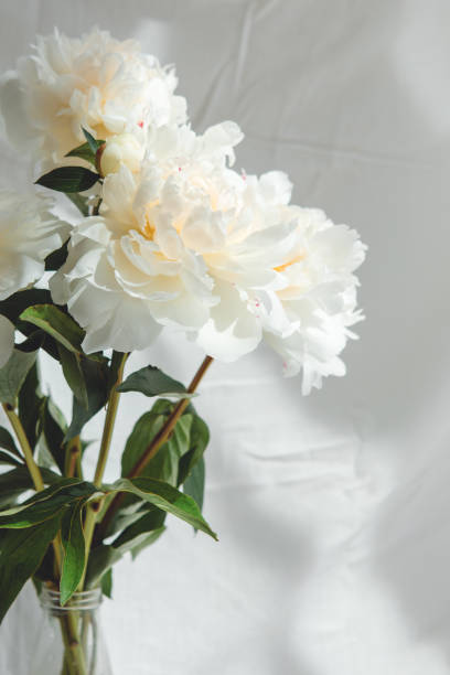 istock bouquet of peonies flowers 1336465003