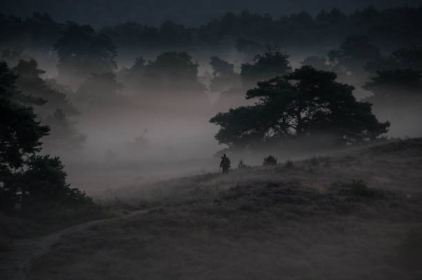 istock Photographer in a  sunrise scene 1336467652
