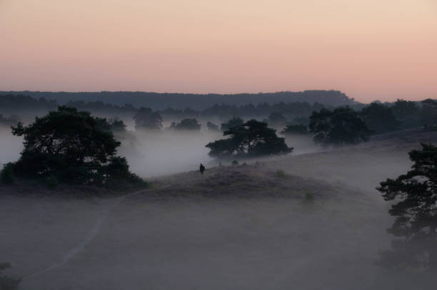 istock Photographers in a sunrise scene 1336467670