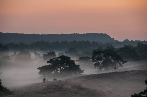 istock Photographing the sunrise scene 1336467672