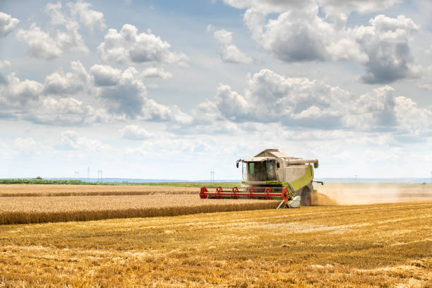 istock Combine harvester in action on wheat field. 1336467953
