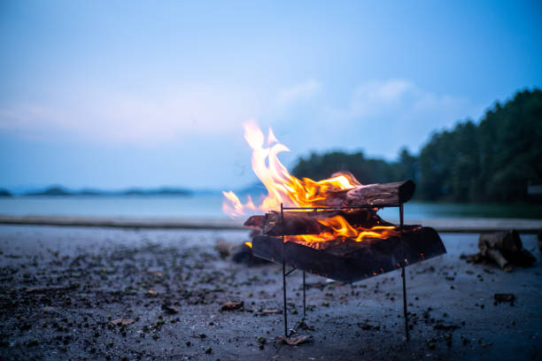 istock Burning campfire on the beach on mycamping trip 1336469319