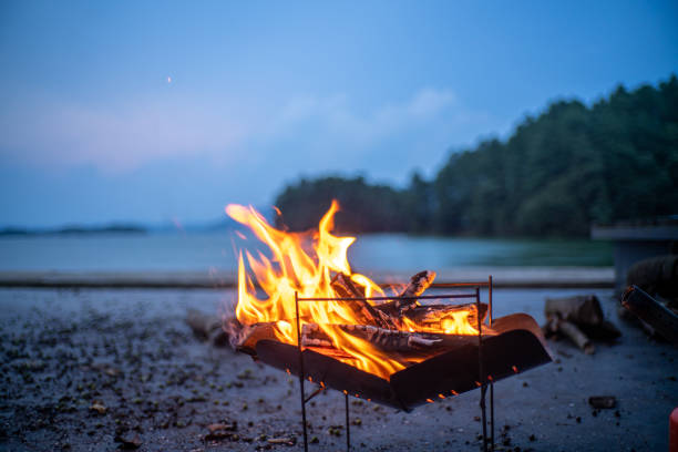 istock Burning campfire on the beach on mycamping trip 1336469349