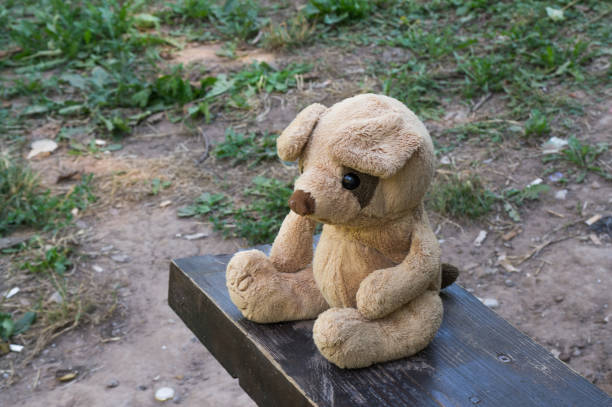 istock Teddy bear sitting alone on the bench in the park 1336473131