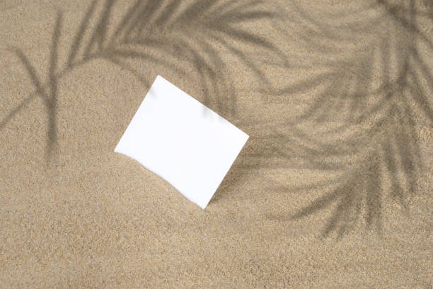 istock Minimal sunlight tropical flat lay arrangement. 1336474513