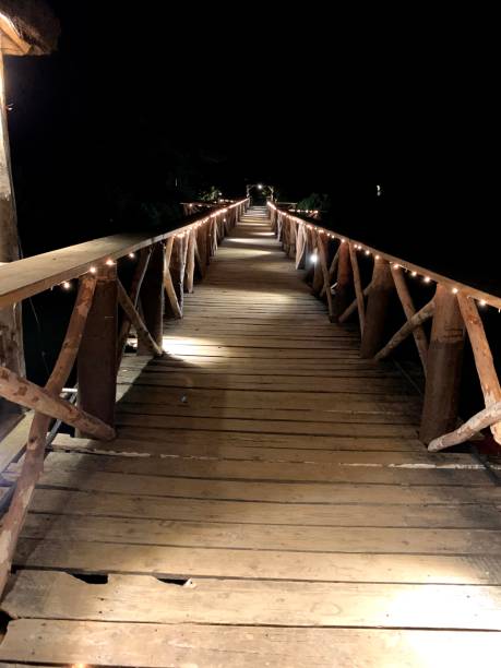istock Walkway to Beach at Night 1336478045