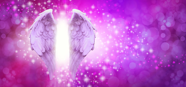 pair of Angel wings on left side with random white and pink sparkles on a vibrant pink purple bokeh background and copy space