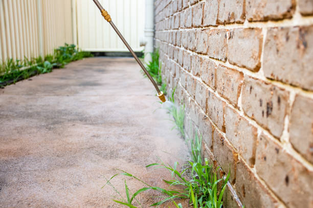 istock Spraying weed killer herbicide to control unwanted plants and grass on a backyard. Building exterior 1336481151