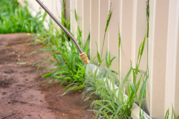 istock Spraying weed killer herbicide to control unwanted plants and grass on a backyard. Building exterior 1336481163