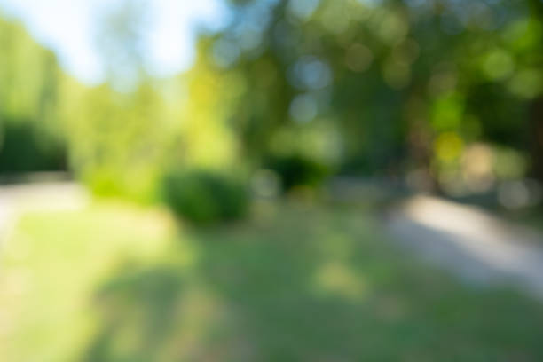 istock Abstract blur city park bokeh for a background 1336486570