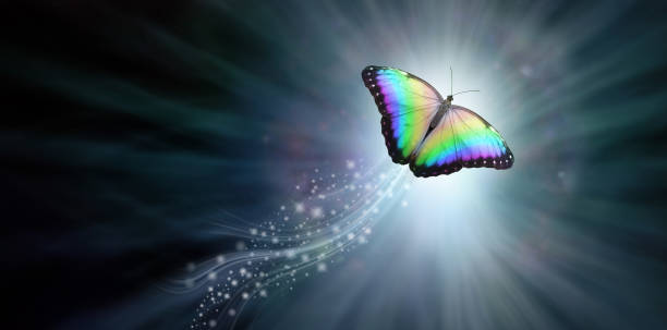 istock Beautiful Butterfly crossing into the light 1336491062