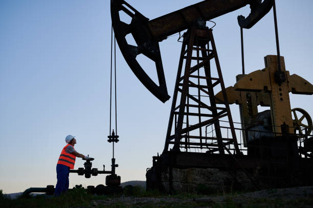 istock Male worker using petroleum pump jack in oil field. 1336493656
