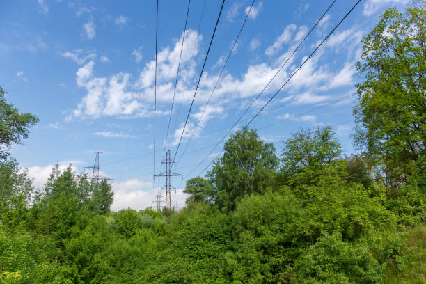 Two overhead power lines equipped with lattice steel transmission towers over the trees against the sky