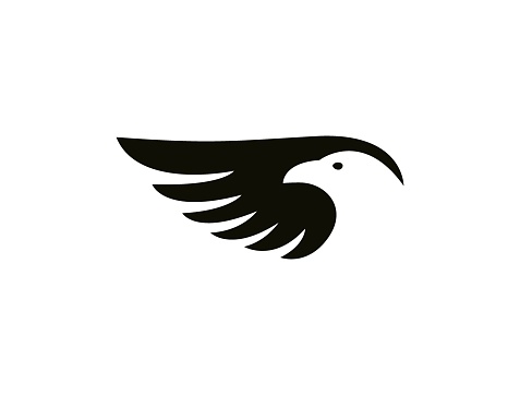 Flying bird vector emblem. Elegant bird, eagle, hawk, vector logotype design. Universal premium falcon wing symbol.