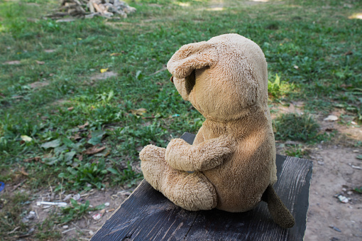 Teddy bear sitting alone on the bench in the park, looking at the distance
