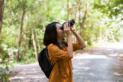 Portrait of Asian young woman hiker hiking with backpack standing holding binoculars looking for birdsÂ along forest trail