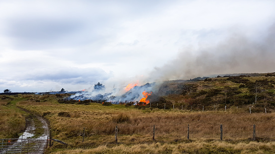 Moorland burns unstopped on hilltop in rural wales a result of climate change and dry summers