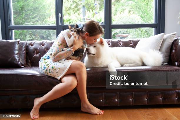 Young Woman Petting Her Cat And Dog At Home Stock Photo - Download Image Now - Domestic Cat, Dog, People