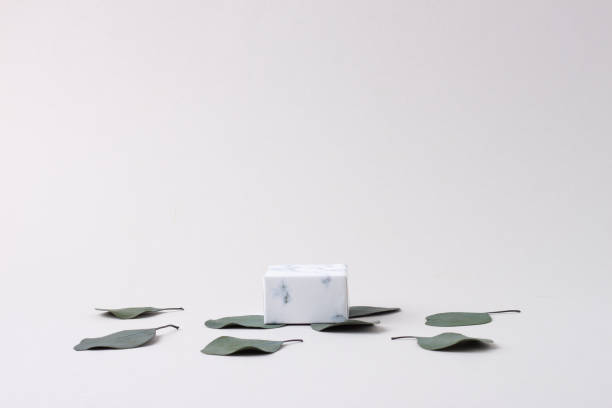 istock Cosmetic background with podium, eucalyptus on white. Empty showcase for cosmetic product presentation. 1336499001