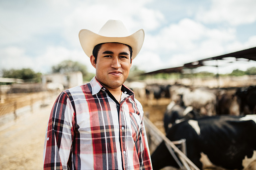 Mexican farmer working in cattle farm