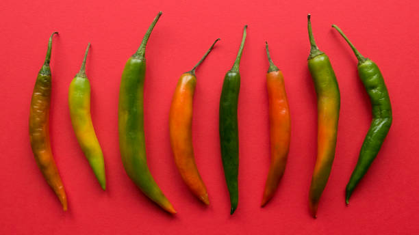 istock Chili pepper on a red background. 1336505067