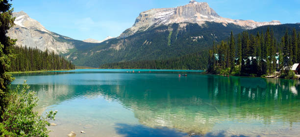 emerald lake, parc national de yoho, rocheuses, colombie-britannique, canada - british columbia canada lake emerald lake photos et images de collection