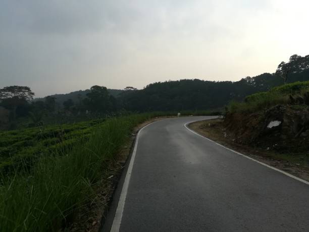 istock The Main Road in Tea Plantation 1336507794